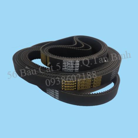 MT44:  Dây coroa 5M cao 2.5cm