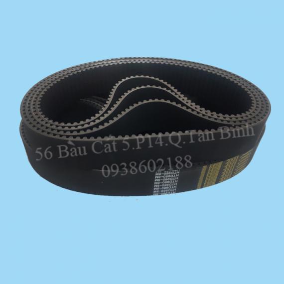 MT43: Dây coroa 8M cao 5cm